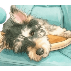 jun_dog