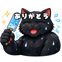 black cat summer daily stickers