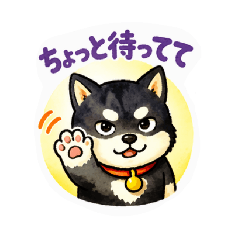 Kuroshiba Oh No..._20260416161613