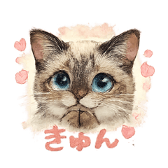 himehana_20260416132141