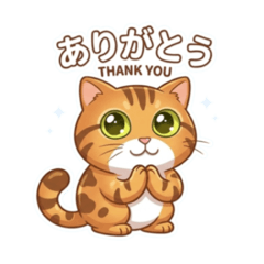 Mame Works_20260416162434