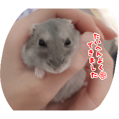 Omochi_20260416163043