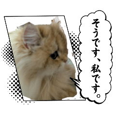 maronron_20260416173006