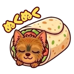 Cheeky & Fluffy Little Yorkie 11