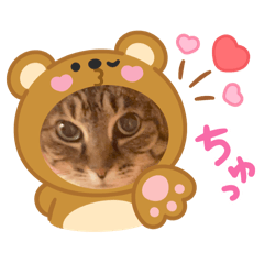 Rina_20260416172646