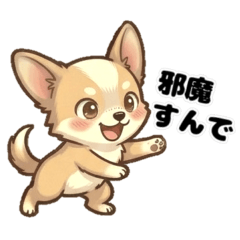 関西弁チワワさん ２