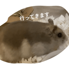 mochimaru_20260416192945