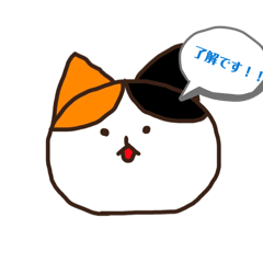 Y U K A Y U M E_20260416194419