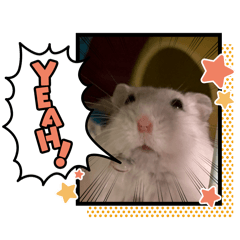 PONCOTU_20260416194202