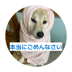 TARO9027_NTSM_20260416223334