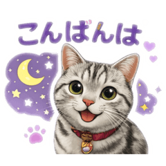 Kotora_20260416223946