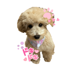 Ayumi_20260416223733