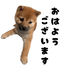 tenmama_20260416224820