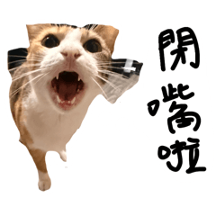 婐家的豆花第一彈