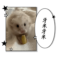 豆花ㄉ小小日常