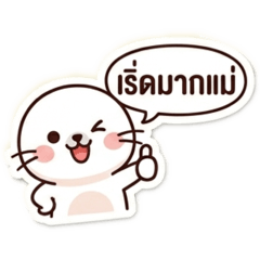 Pharida_20260416144327