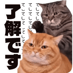 Surreal stickers featuring cats, monkeys