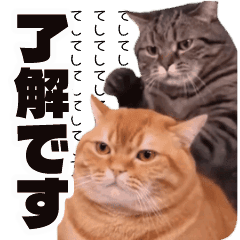 面白！猫とゴリラとサルのシュールスタンプ