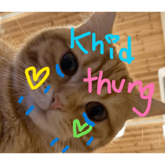 Sunpring_20260416152308