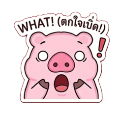 Korapig pukwanwut_20260416153754