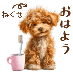 Funny & Silly Animated Toy Poodle