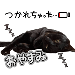 a family_20260416231408