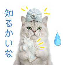 rei_20260416231645
