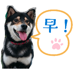 maru"K"_20260413113204