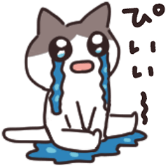 日常づかいのゆるネコさん