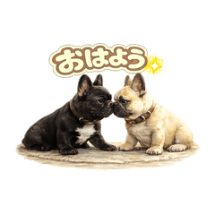 每天都能用的可愛法國鬥牛犬①