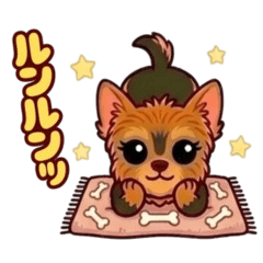 Cheeky & Fluffy Little Yorkie 12