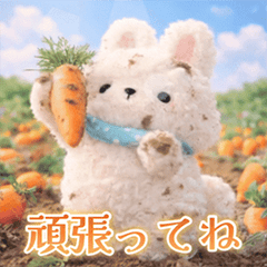 A rabbit's everyday life (very ordinary)