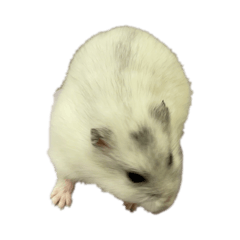 ee000213