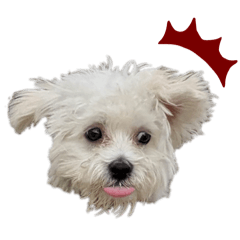 Chikuwa_20260416135303