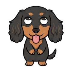 Dachshund all day 2