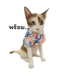 Cony & Latte_20260416170636