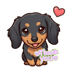 Dachshund all around