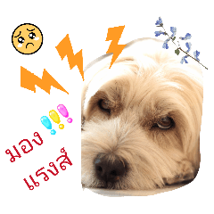 Cute Inccy_20260416181907