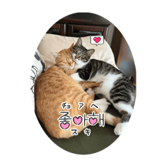 Satsuki_20260416205055