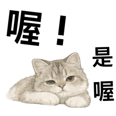 米茶日常-生活用語