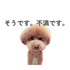 poooo_20260416165040