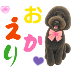 ippippi_20260416175858