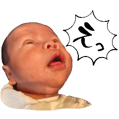 YAGiKO_20260416181502