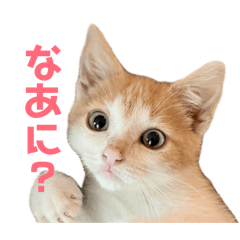 moeka_20260416235933