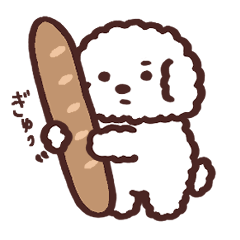 Fluffy dog-Daily life