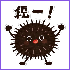 Grayish-black sea urchin