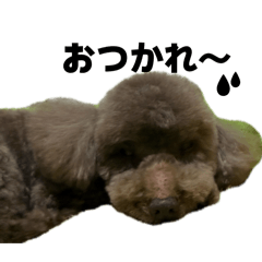 takacoco_20260417012225