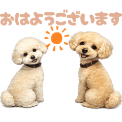 piropiro_20260417070905