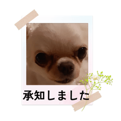 au.com_20260417012438