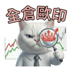 台股貓先生